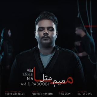 کاور آهنگ میم مثل ما از امیر ربوبی