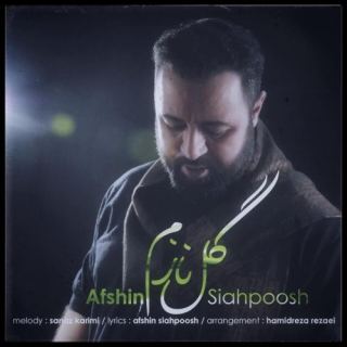 کاور آهنگ گل نازم از افشین سیاهپوش