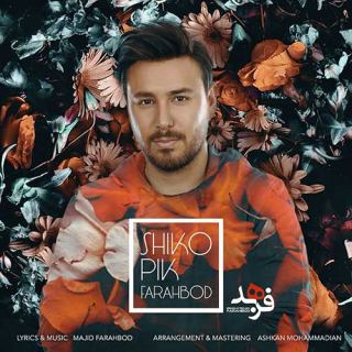 کاور آهنگ شیک و پیک از فرهبد