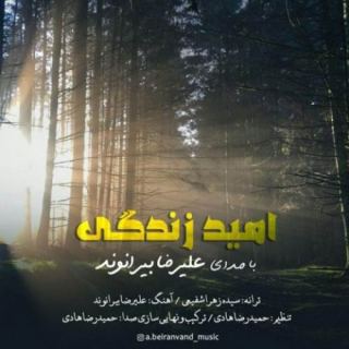 کاور آهنگ امید زندگی از علیرضا بیرانوند