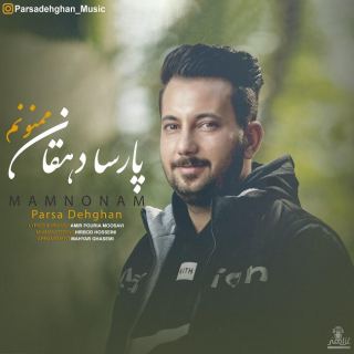 کاور آهنگ ممنونم از پارسا دهقان