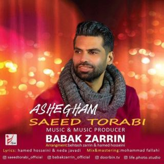 کاور آهنگ عاشقم از سعید ترابی