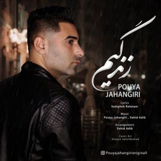 کاور آهنگ زندگیم از پویا جهانگیری
