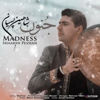 کاور آهنگ جنون از شاهین پسیان