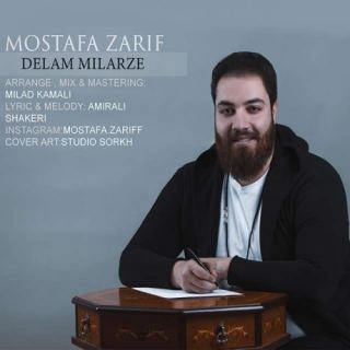 کاور آهنگ دلم میلرزه از مصطفی ظریف