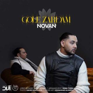 کاور آهنگ گل زردم از نوان