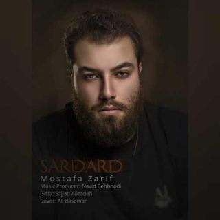 کاور آهنگ سردرد از مصطفی ظریف