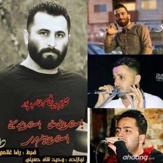 کاور آهنگ تنه دیوانمه از مجید حسینی