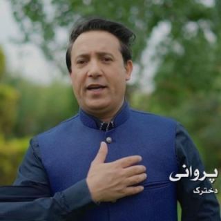 کاور آهنگ دخترک از نصیر پروانی