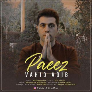 کاور آهنگ پاییز از وحید ادیب