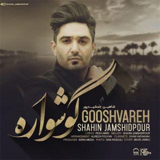 کاور آهنگ گوشواره از شاهین جمشیدپور