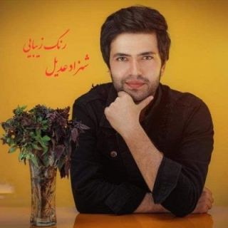 کاور آهنگ رنگ زیبایی از جدید شهزاد عدیل