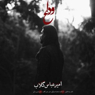 کاور آهنگ وداع از امیر عباس گلاب