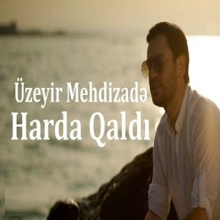 کاور آهنگ هاردا قالدی ( کجا موند ) از اوزیر مهدی زاده