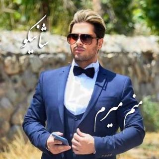 کاور آهنگ منم میرم از شانیکو