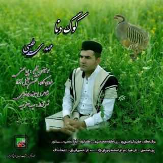کاور آهنگ کوگ دنا از مهدی طیبی