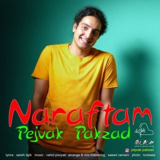 کاور آهنگ نرفتم از پژواک پاکزاد