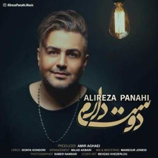 کاور آهنگ دوست دارم از علیرضا پناهی