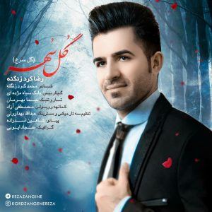 کاور آهنگ گل سهر ( گل سرخ ) از بویاحمدی رضا کرد زنگنه