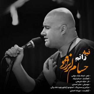 کاور آهنگ نیه زانم از حسام لرنژاد