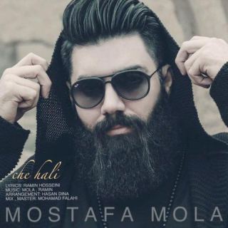کاور آهنگ چه حالی از مصطفی مولا