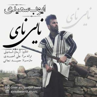 کاور آهنگ نایی نای از ایوب سعیدی