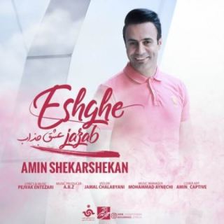 کاور آهنگ عشق دیوونه جذاب منی تو مگه نه از امین شکرشکن