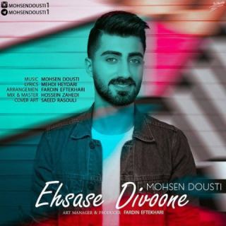 کاور آهنگ احساس دیوونه از محسن دوستی