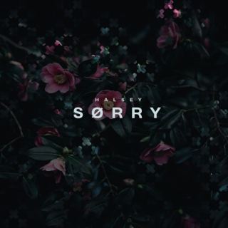 کاور آهنگ Sorry از هالزی