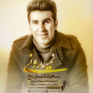 کاور آهنگ نمیدونی از سعید دسترنج