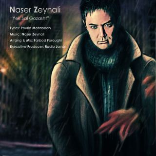 کاور آهنگ یک سال گذشت از ناصر زینعلی