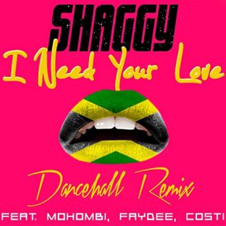 کاور آهنگ I Need Your Love از شگی