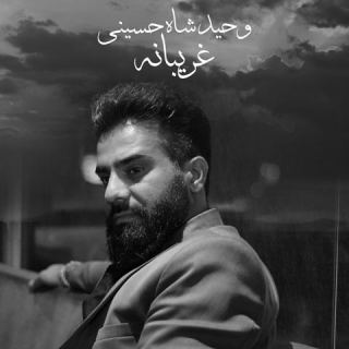 کاور آهنگ غریبانه از وحید شاه حسینی