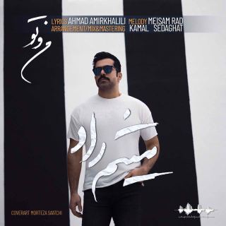 کاور آهنگ منو تو از میثم راد