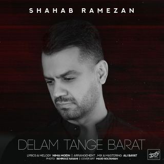 کاور آهنگ دلم تنگه برات از شهاب رمضان
