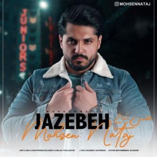کاور آهنگ جاذبه از محسن نتاج