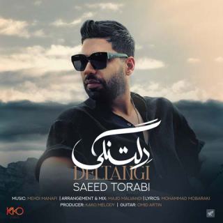 کاور آهنگ دلتنگی از سعید ترابی