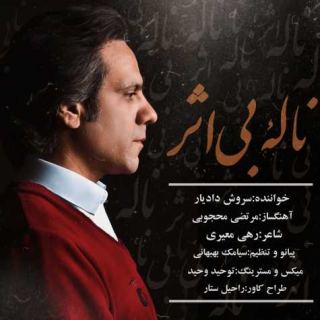 کاور آهنگ ناله‌ بی اثر از سروش دادیار