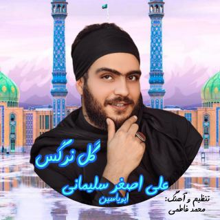 کاور آهنگ گل نرگس از علی اصغر سلیمانی ( ابویاسین )