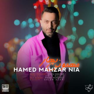 کاور آهنگ مهمونی بهار از حامد محضرنیا