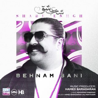 کاور آهنگ شب عشق از بهنام بانی