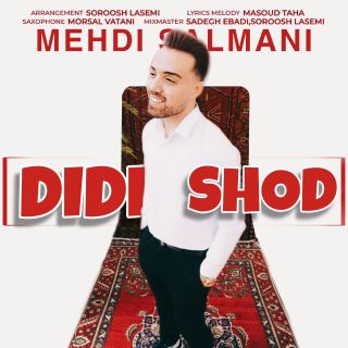 کاور آهنگ دیدی شد از مهدی سلمانی