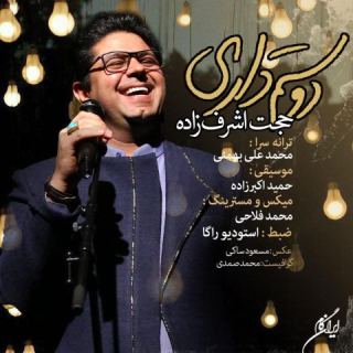 کاور آهنگ دوستم داری از حجت اشرف زاده