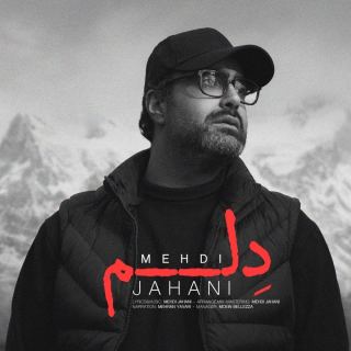 کاور آهنگ دلم از مهدی جهانی