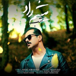کاور آهنگ شب از میثم راد