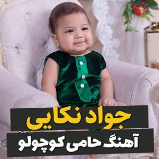 کاور آهنگ حامی از جواد نکایی