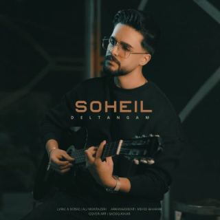 کاور آهنگ دلتنگم از سهیل