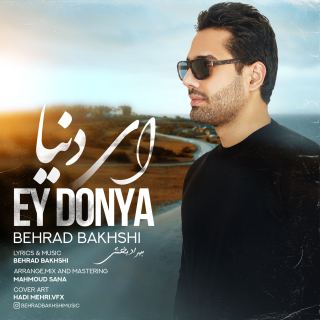 کاور آهنگ ای دنیا از بهراد بخشی