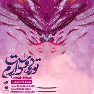 کاور آهنگ تو رو دوست دارم از سیامک عباسی