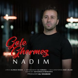 کاور آهنگ گل قرمز از ندیم